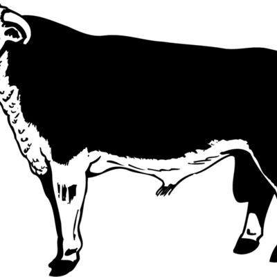 COW012 Thumbnail