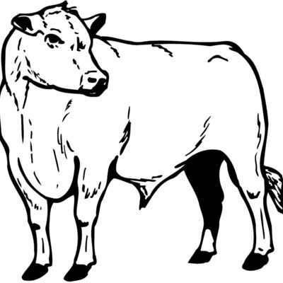 COW013 Thumbnail