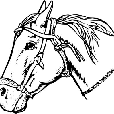 HORSE007 Thumbnail