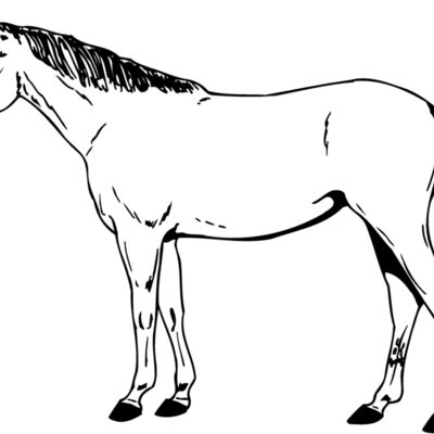 HORSE024 Thumbnail
