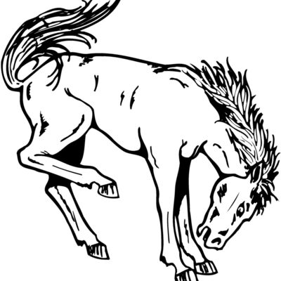 HORSE038 Thumbnail