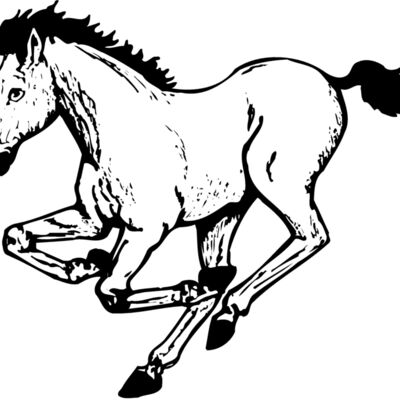 HORSE043 Thumbnail