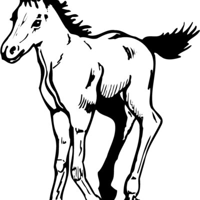 HORSE044 Thumbnail