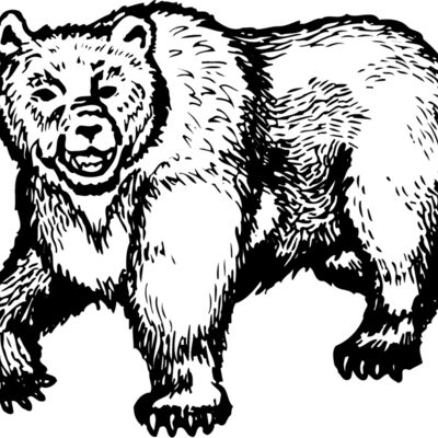 BEAR015 Thumbnail