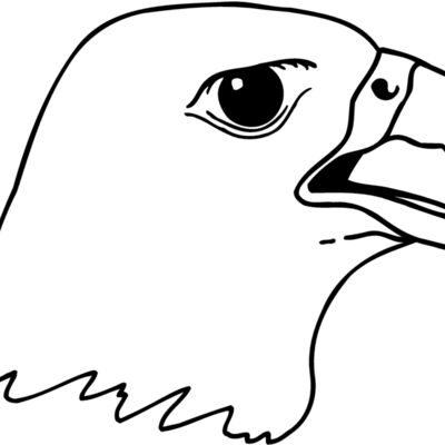 EAGLE45 Thumbnail