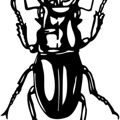 EARWIG Thumbnail