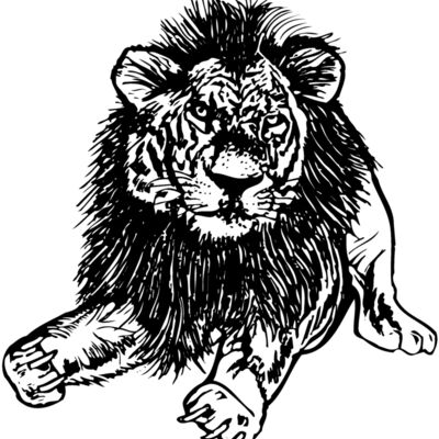 LION005 Thumbnail