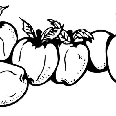 FRUIT029 Thumbnail