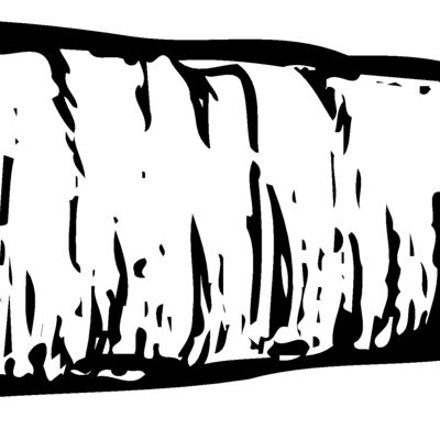 VEG010 Thumbnail