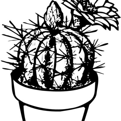 CACTUS01 Thumbnail