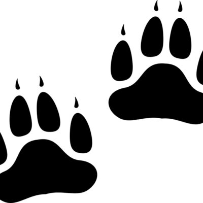 Bear   Clipart 2 Thumbnail
