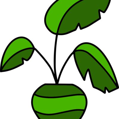 Plant Thumbnail