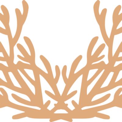 Sea Plants Thumbnail