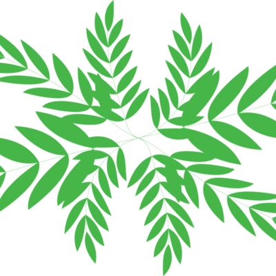 Leaves 3 Thumbnail
